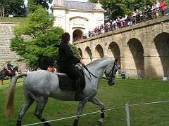 REMPARTS LONGWY 2008 135